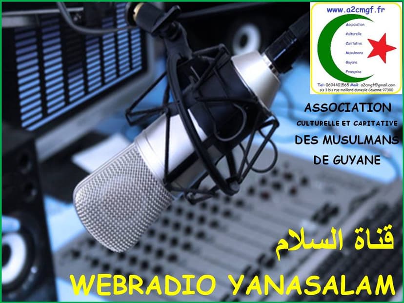 Actuellement sur la plateforme radio garden